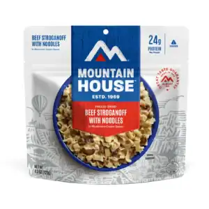 Mountain House Beef Stroganoff With Noodles